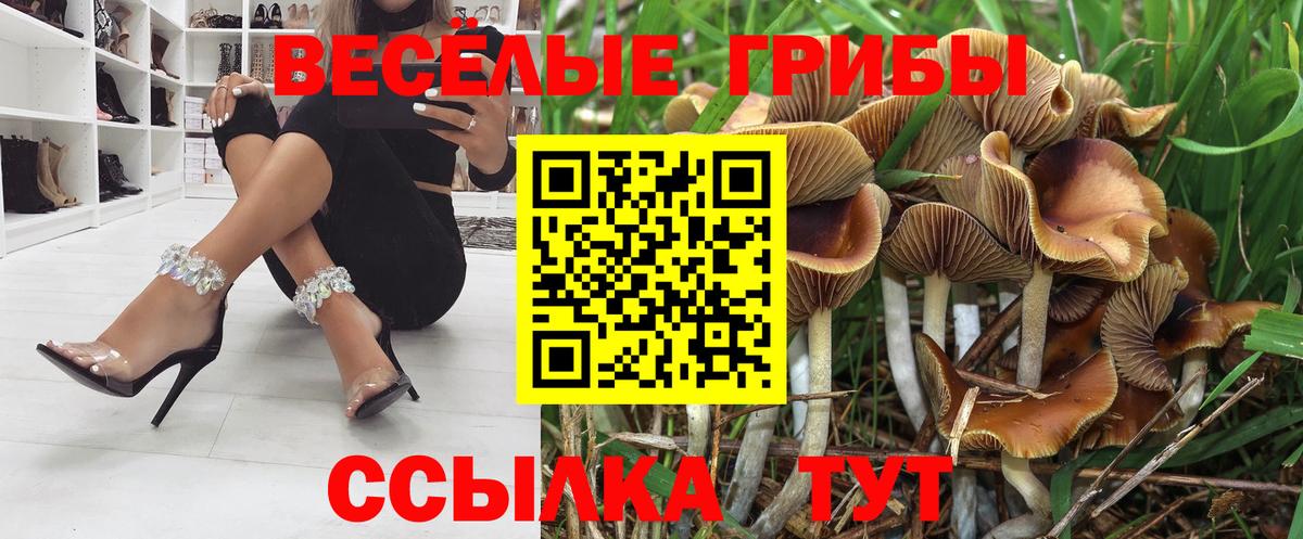 Галлюциногенные грибы мухоморы  Вход с VPN  Шадринск 